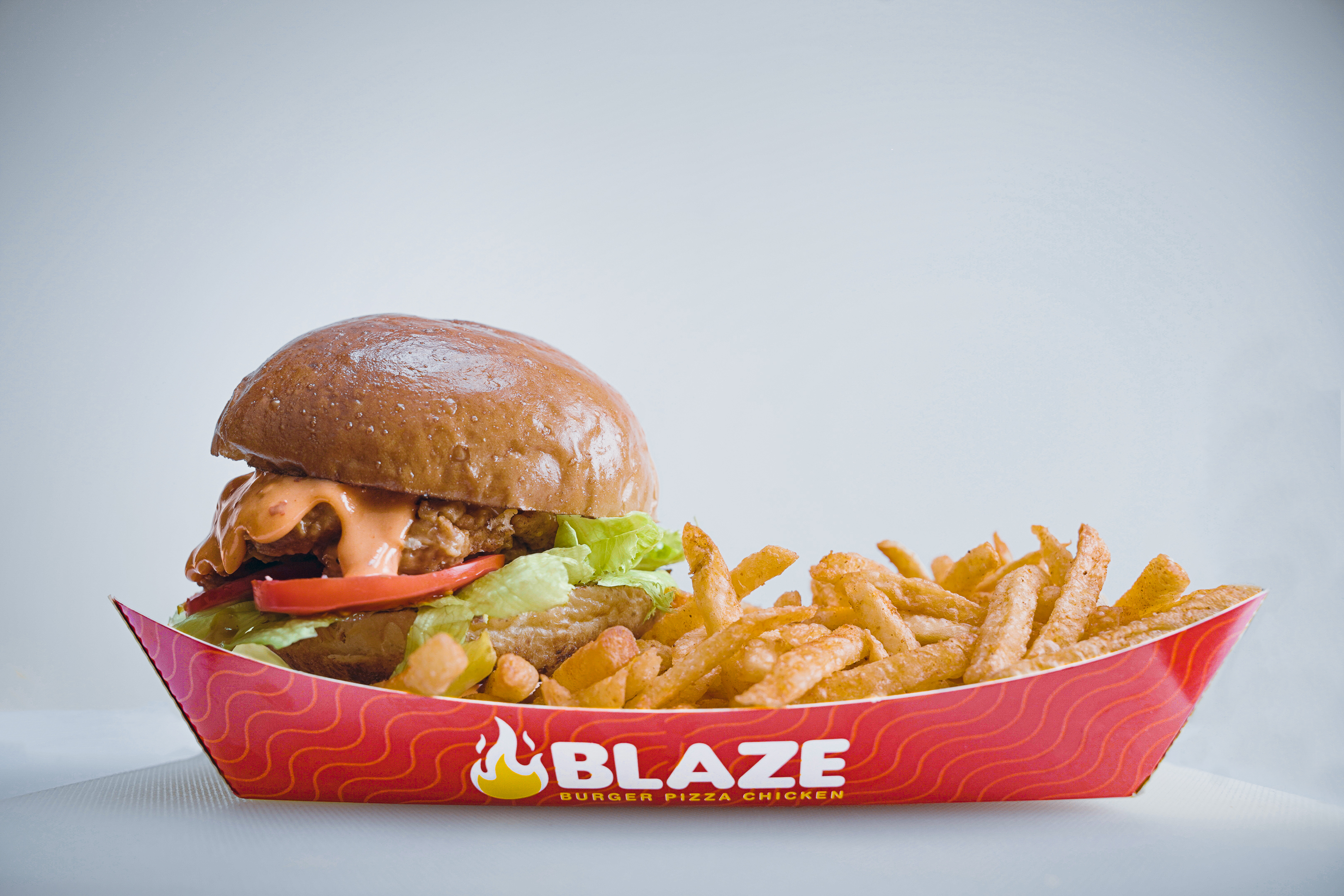 CRISPY BIRD BURGER